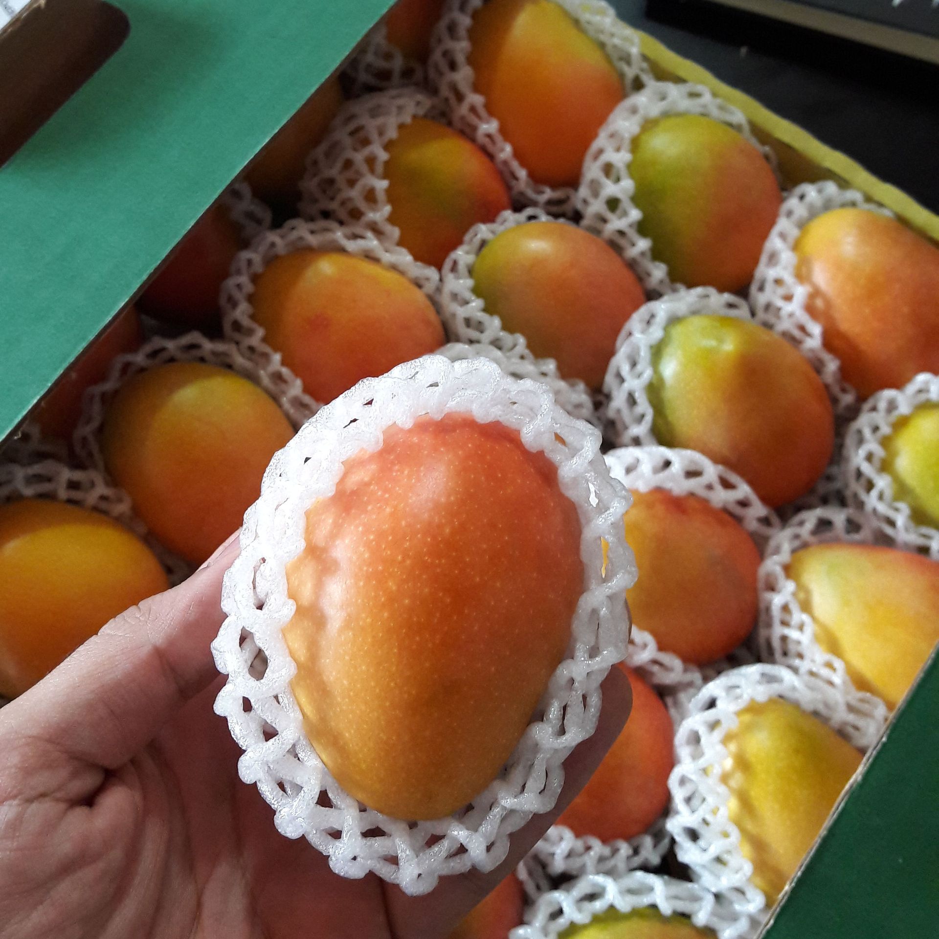Bebe mango deals